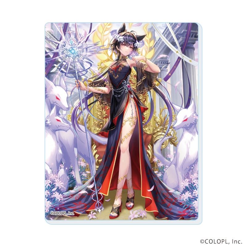 アクリルカード「クイズRPG 魔法使いと黒猫のウィズ」07/コンプリートセット(全12種)(公式イラスト)