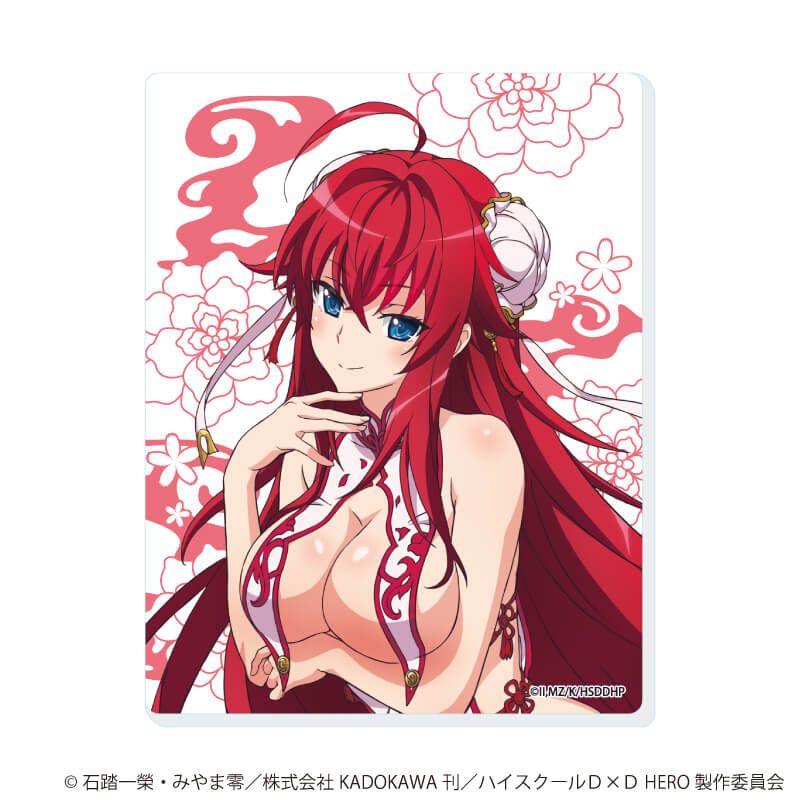 アクリルカード「ハイスクールD×D HERO」01/コンプリートセット(全5種)(描き下ろしイラスト)