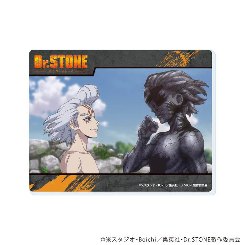 アクリルカード「Dr.STONE」22/コンプリートセット(全10種)(場面写イラスト)