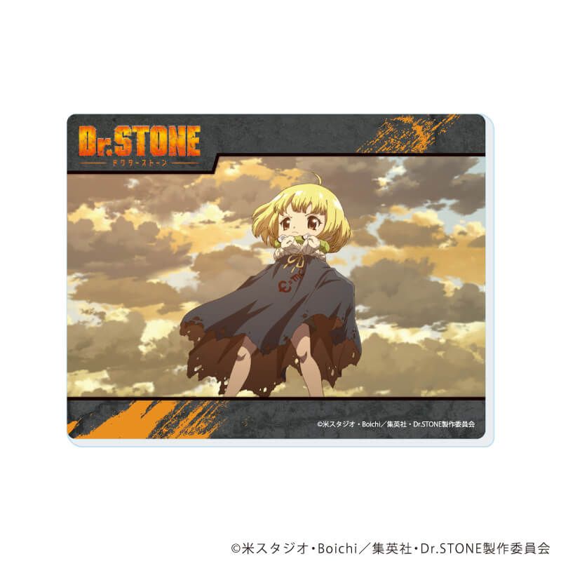 アクリルカード「Dr.STONE」22/ブラインド(10種)(場面写イラスト)