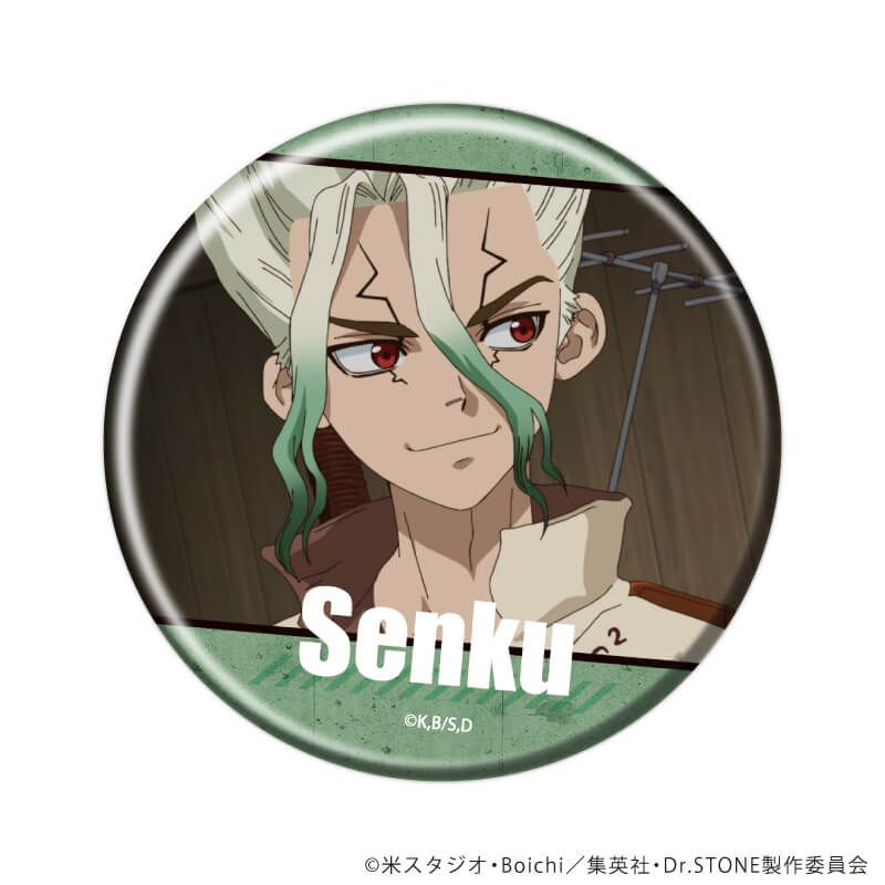 缶バッジ「Dr.STONE」42/ブラインド(10種)(場面写イラスト)
