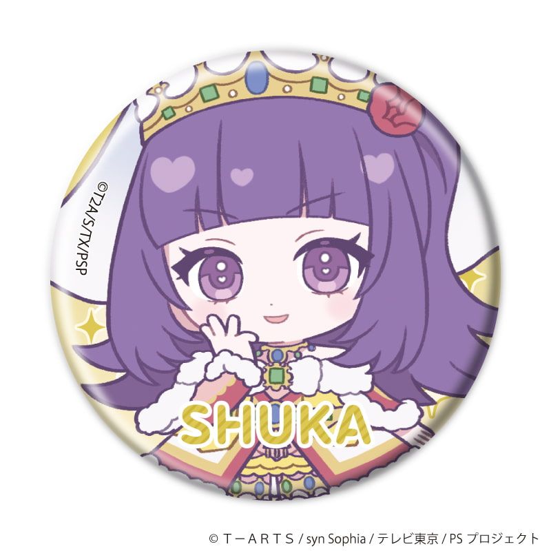 缶バッジ「プリティーシリーズ」04/アイドルタイムプリパラ コーデアレンジver. コンプリートセット(全13種)(ミニキャライラスト)