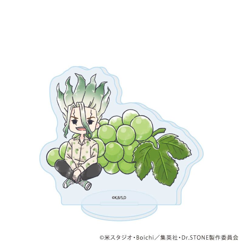 アクリルぷちスタンド「Dr.STONE」21/フルーツver. コンプリートセット(全11種)(グラフアートイラスト)