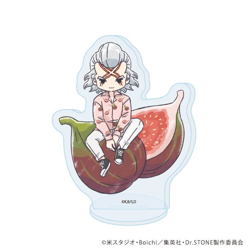 アクリルぷちスタンド「Dr.STONE」21/フルーツver. コンプリートセット(全11種)(グラフアートイラスト)