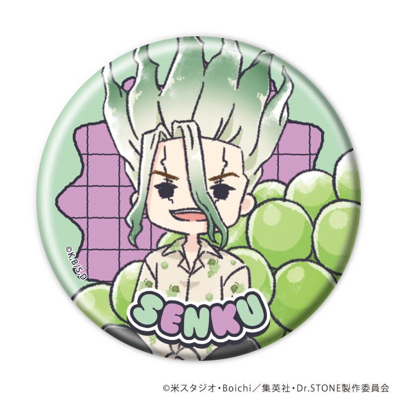 缶バッジ「Dr.STONE」44/フルーツver. コンプリートセット(全11種)(グラフアートイラスト)