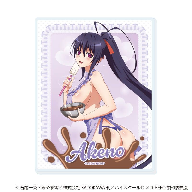 アクリルカード「ハイスクールD×D HERO」05/コンプリートセット(全6種)(描き下ろしイラスト)