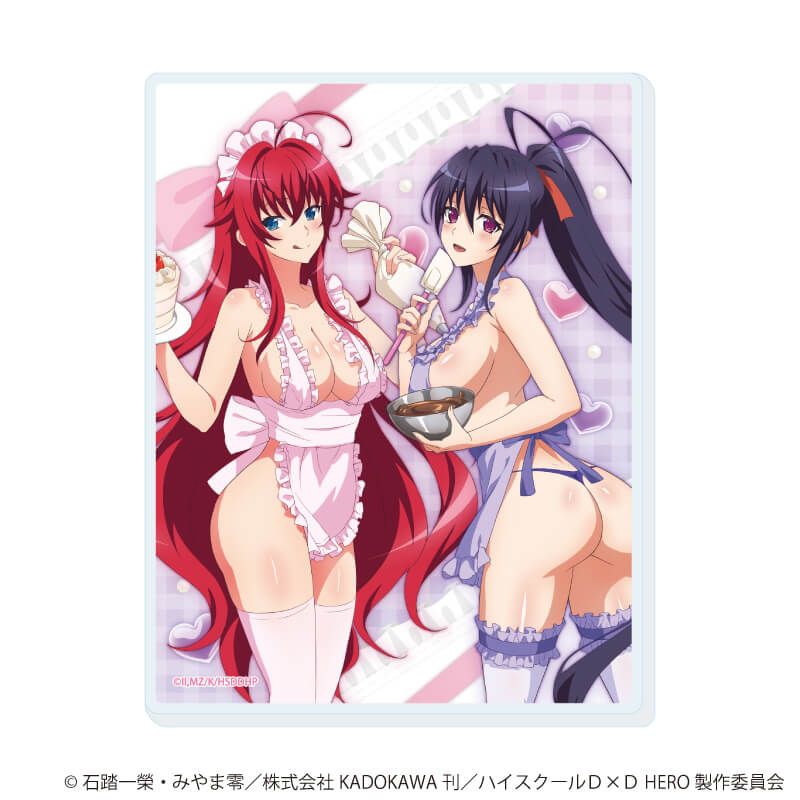 アクリルカード「ハイスクールD×D HERO」05/コンプリートセット(全6種)(描き下ろしイラスト)