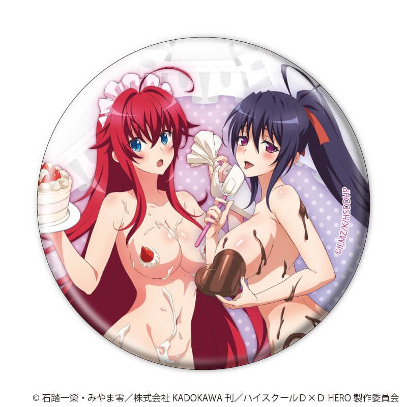 缶バッジ「ハイスクールD×D HERO」37/コンプリートセット(全6種)(描き下ろしイラスト)