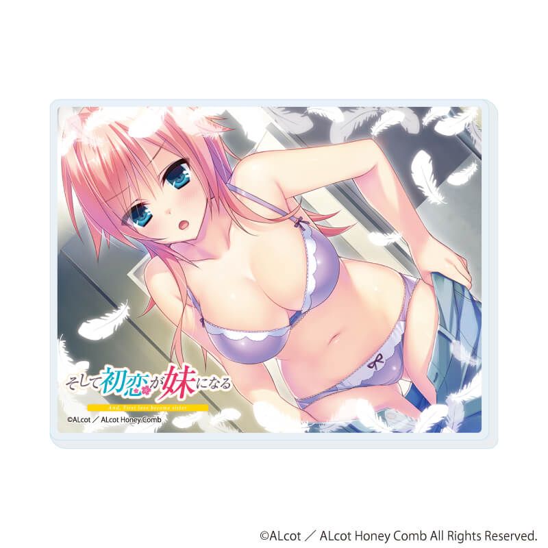 アクリルカード「ALcot/ALcotハニカムシリーズ」01/コンプリートセット(全15種)(公式イラスト)