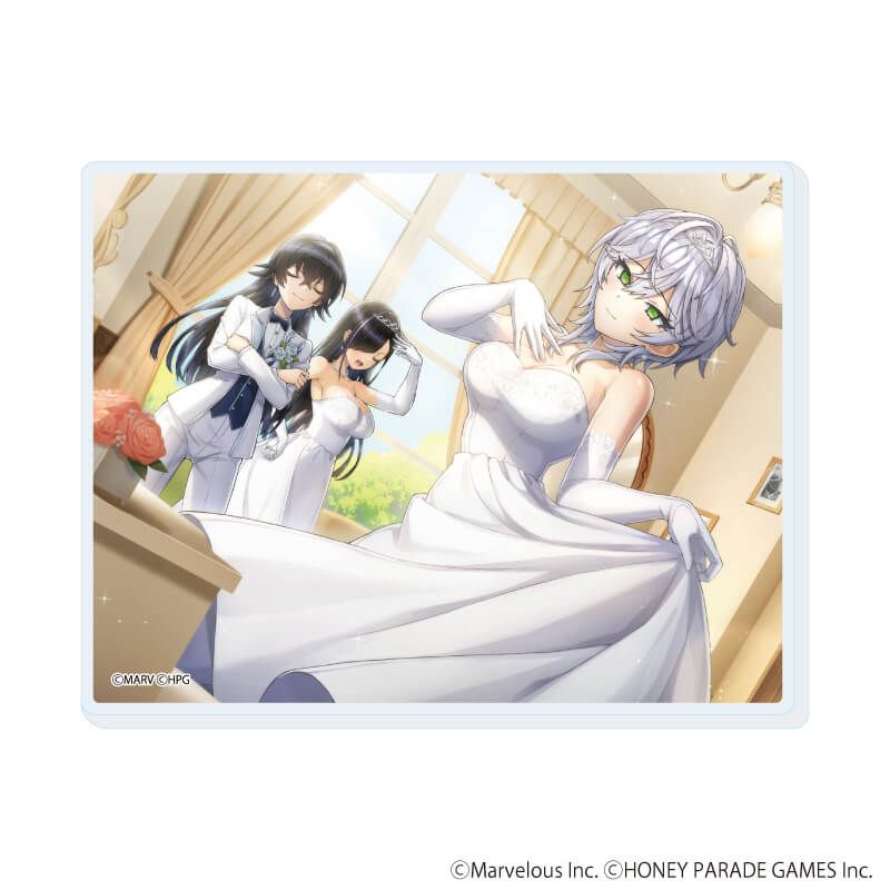 アクリルカード「ドルフィンウェーブ」05/セット② コンプリートセット(全13種)(公式イラスト)