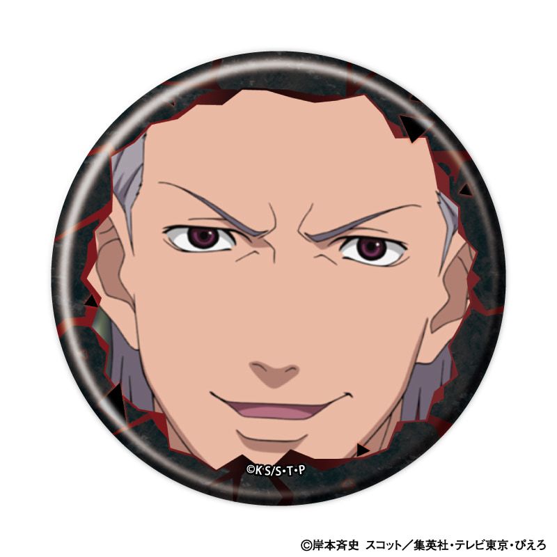 缶バッジ「NARUTO-ナルト- 疾風伝」23/ブラインド(9種)(場面写イラスト)