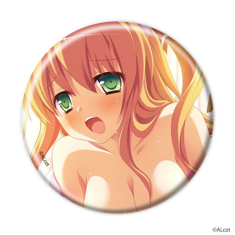 缶バッジ「新本シリーズ」13/コンプリートセット(全10種)A(場面写イラスト)