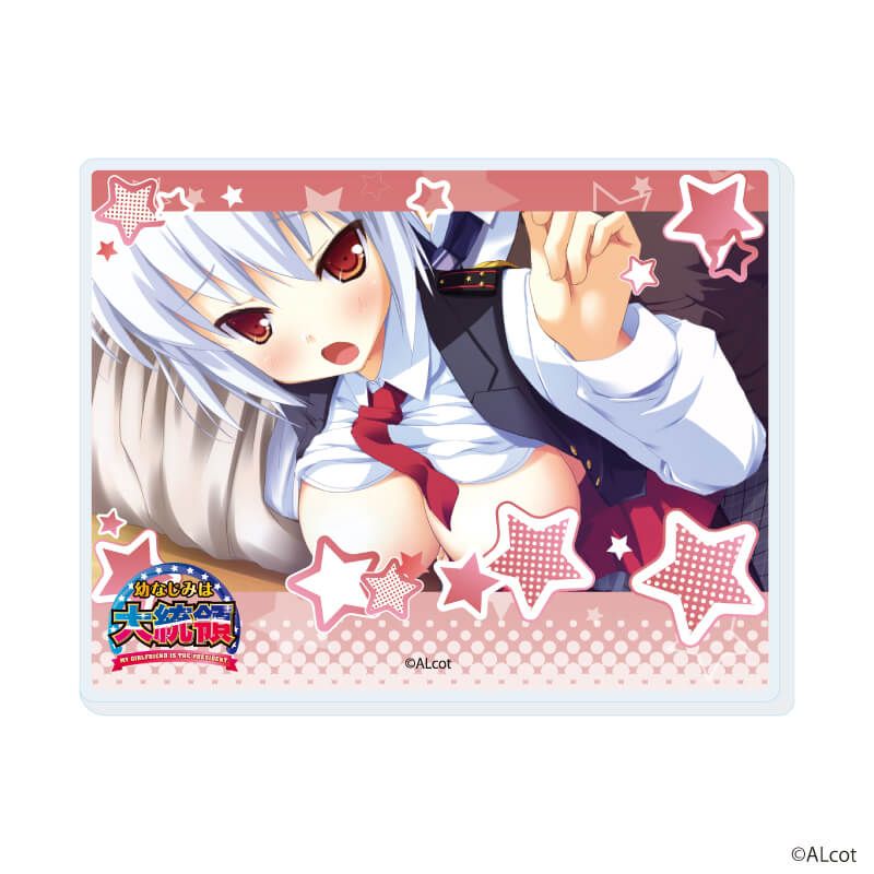 アクリルカード「新本シリーズ」13/ブラインド(10種)A(場面写イラスト)