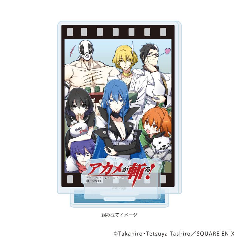 缶バッジ「アカメが斬る！」04/ブラインド(7種)｜アニメ・キャラクター