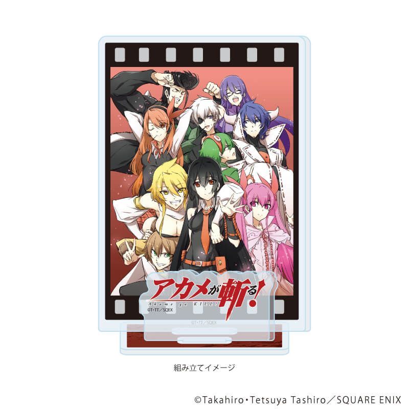 缶バッジ「アカメが斬る！」03/ブラインド(10種)｜アニメ