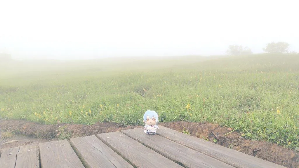 霧のかかった登山道に置かれたぬいぐるみ